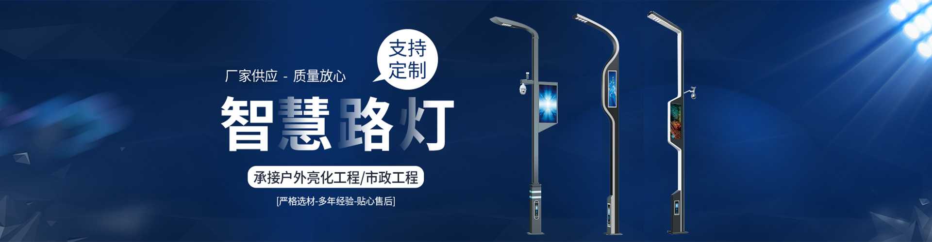 竞秀区太阳能路灯定制厂家